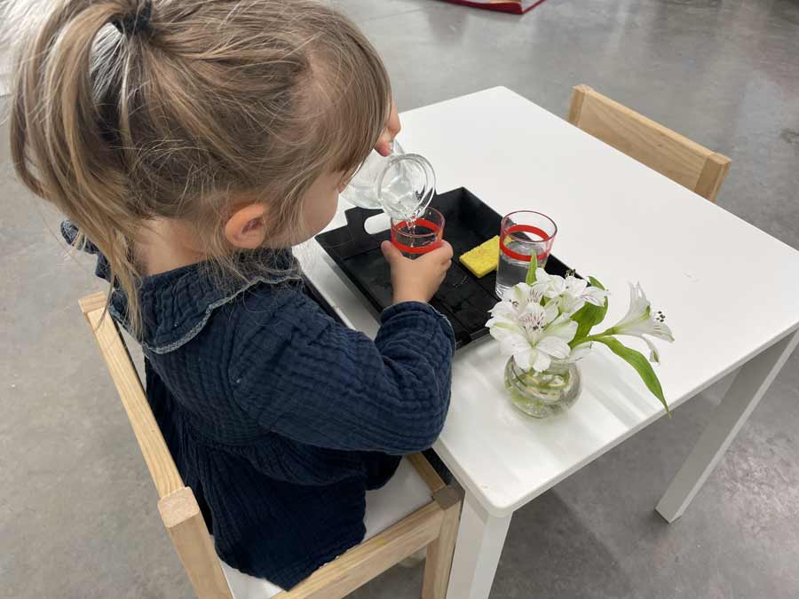 Enfant-apprentissage-verre-d’eau-plante